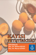 KAYISI YETİŞTİRİCİLİĞİ